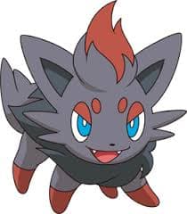 Zorua