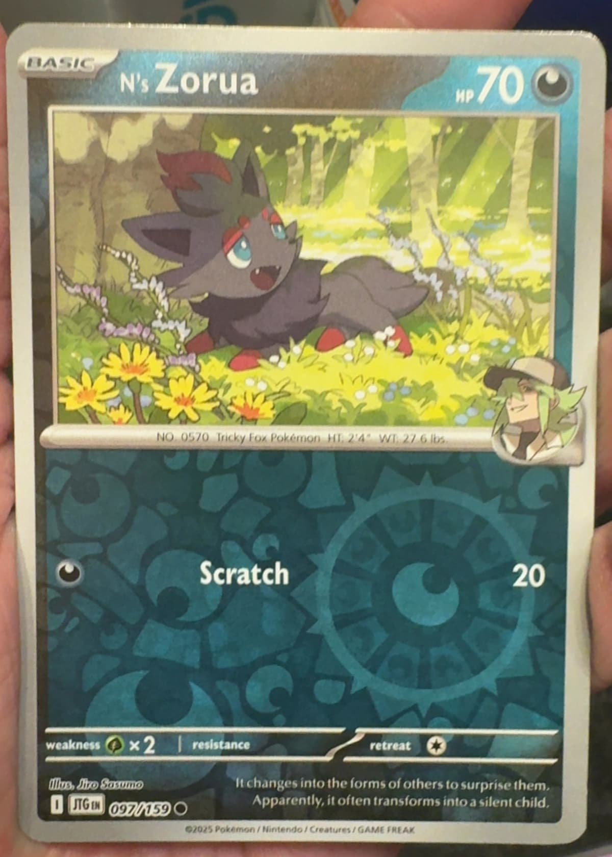 zorua pokemon card Official Deck Starter Set MEGA Evolves from null Type Zorua 2025 Pokemon White Flare