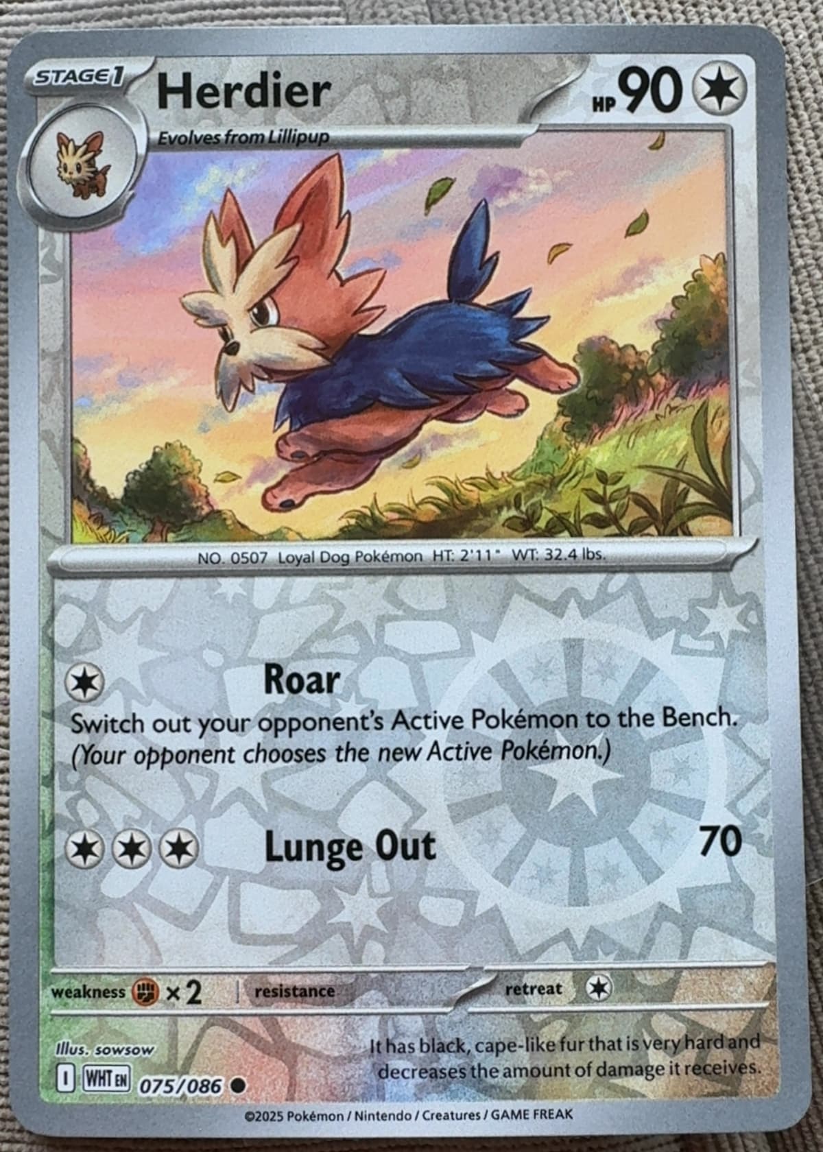 herdier pokemon card XY Colorless Colorless Herdier - Pokmon TCG Pocket