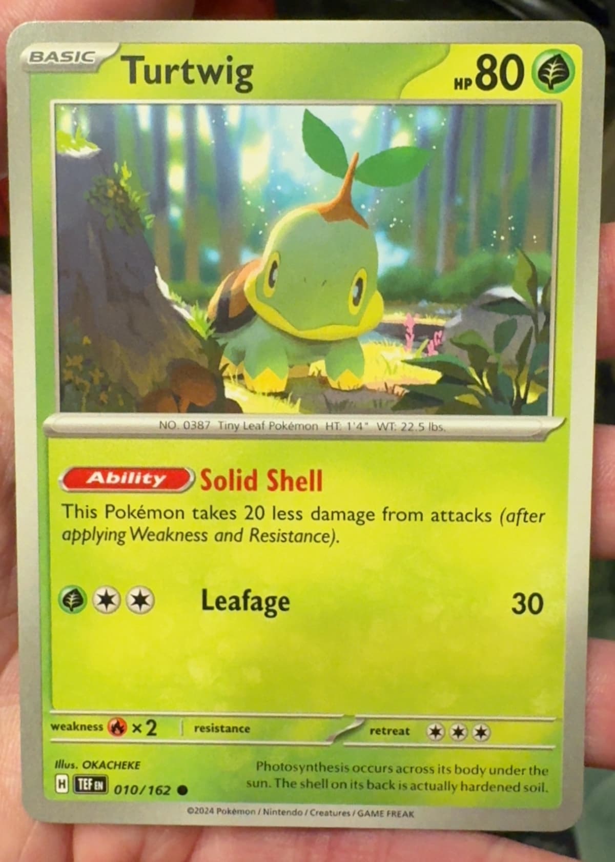 shiny turtwig pokemon cards Mcdonald's New Grass Colorless Shell Attack (10) Grass Pokemon Promo Cards Single Card