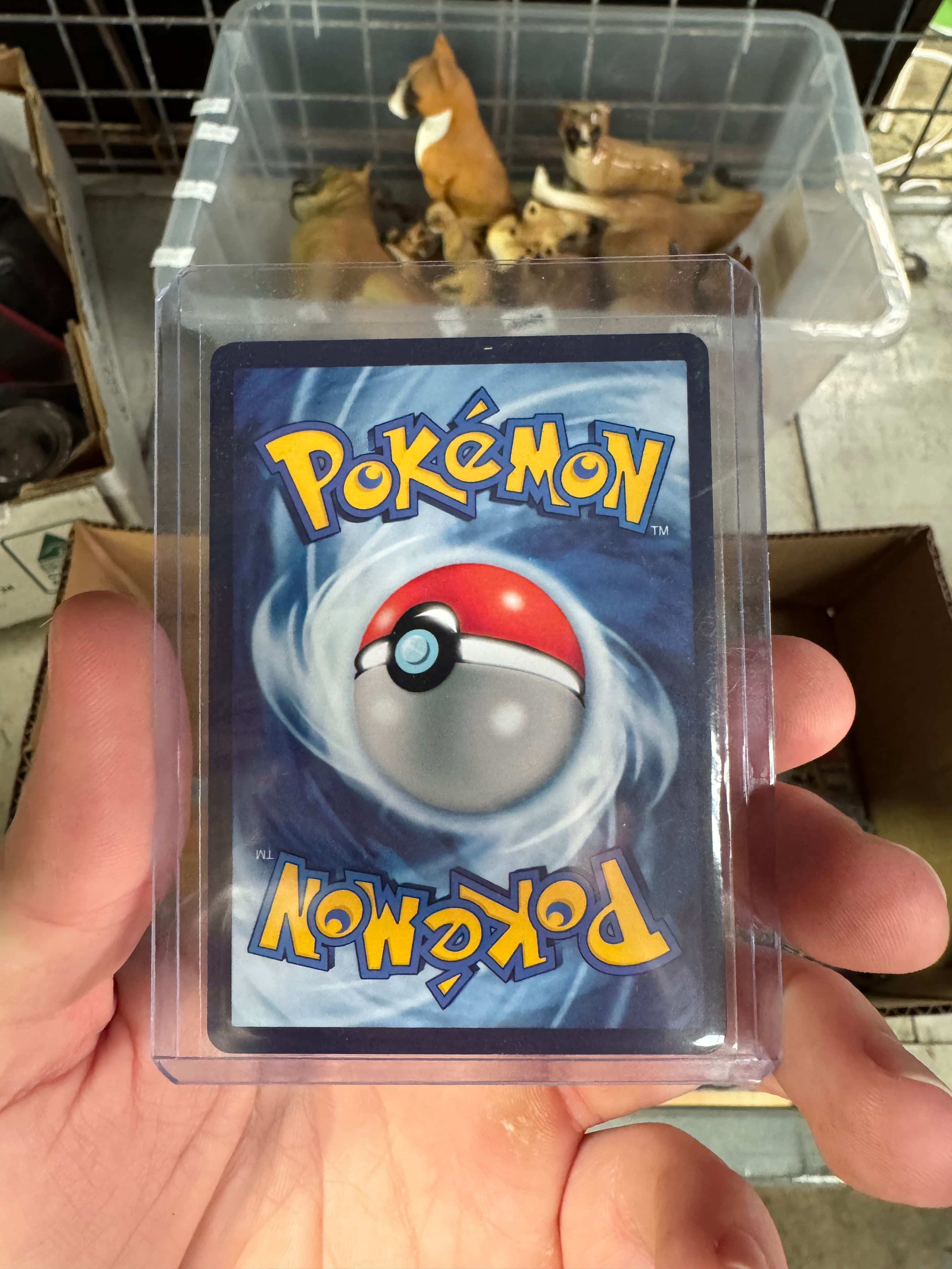 chinese pokemon cards back TCG Gem Pack Vol. 1 Booster Packs x4 | Pokemon Packs | Authentic Chinese Pokmon and 2 Collect 151 Journey booster packs Thought I had bought an